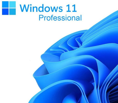 MICROSOFT Windows 11 Professional (1 User/PC, Lifetime Validity) OEM 32/64 Bit