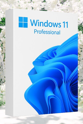 MICROSOFT Windows 11 Professional_AB029 1 User / 1 PC Lifetime Validity Retail License 32 /64 Bit (Flash Drive)