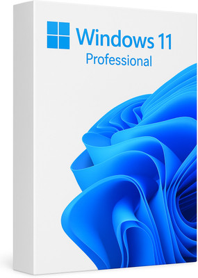 MICROSOFT Windows 11 Professional_AB01 1 User / 1 PC Lifetime Validity Retail License 32 /64 Bit (Flash Drive)