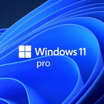 MICROSOFT Windows 11 Professional Retail 32/64 Bit (1 User, Activation Key)