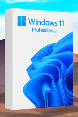 MICROSOFT Windows 11 Professional_AB015 1 User / 1 PC Lifetime Validity Retail License 32 /64 Bit (Flash Drive)