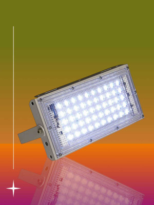 ZESTRUM ETN_50Watt_138 Flood Light Outdoor Lamp(White)
