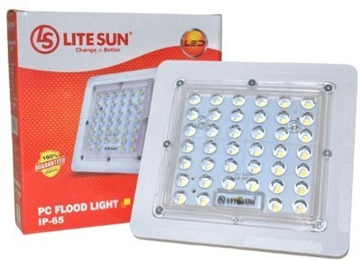 LiteSun Flood light 25W (PC) (White) Flood Light Outdoor Lamp(White)