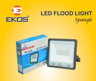 Ekos 100W LED FLOOD LIGHT(PACK OF 1) Flood Light Outdoor Lamp(Black)