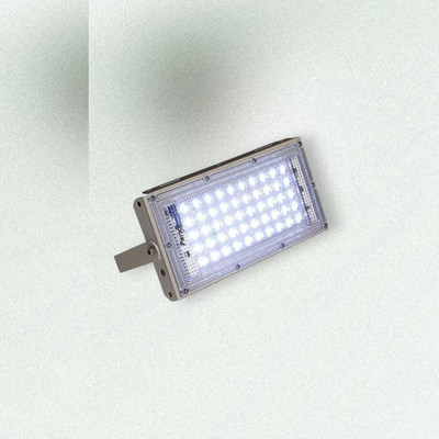 ZESTRUM ETN_50Watt_110 Flood Light Outdoor Lamp(White)