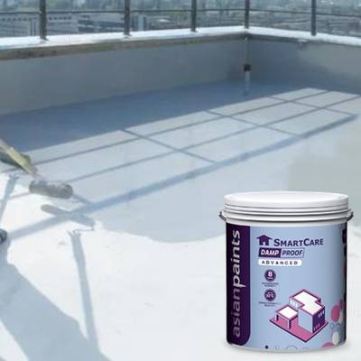 Asian Paints DAMPROOF ADVANCED 10 LTR Tintable Primer