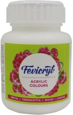 Fevicryl Acrylic Colour 100 ml Paint for Art & Craft ,DIY ,Canvas,Wood,Leather,Metal(Set of 1, White)