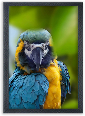 Devatwal Lovely Parrot Painting For Wall Mounted Photo Frame Digital Reprint 10 inch x 14 inch Painting(With Frame)