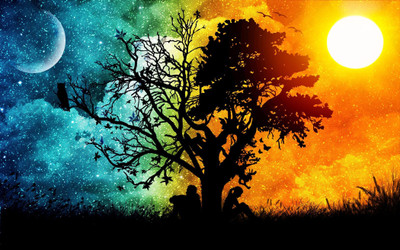 Elegance Abstract Night and Day Tree of Life Canvas painting Digital Reprint 22.5 inch x 36 inch Painting(Without Frame)
