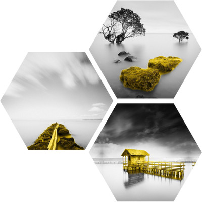 saf NATURE SET OF 3 HEXAGON UV COATED DIGITAL REPRINT PAINTING Digital Reprint 17 inch x 17 inch Painting(Without Frame, Pack of 3)