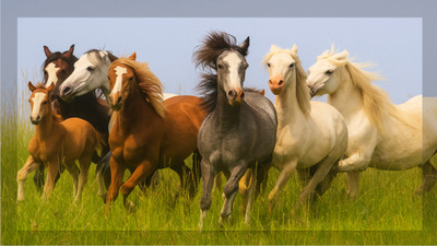 bareth brothers Freedom Spirit 3D Seven Running Horses Frame (9.5 x 7.5 Inch) Digital Reprint 7.5 inch x 9.5 inch Painting(Without Frame)