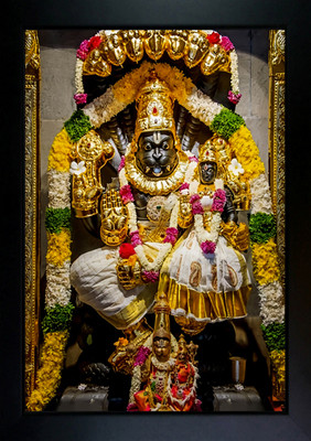 CrowdHall Laxmi Narasimha Photo Frame | Lakshmi Narasimha Photo( 10 X 13.5 IN ) Religious Frame