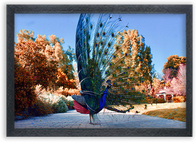 Devatwal Digital Reprint 10 inch x 14 inch Painting(With Frame)