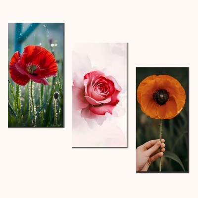 Xframe Deco Floral Wall Art | High quality UHD | Modern Flower Portraits Digital Reprint 12 inch x 9 inch Painting(Without Frame, Pack of 3)