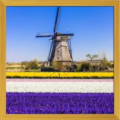 Artzfolio Holland Landscapes Canvas Painting Golden Synthetic Frame 24x24inch (61x61cms) Canvas 24 inch x 24 inch Painting(With Frame)