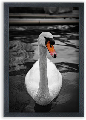 Choudhary Bro swan bird Painting For Wall Mount wall For Gift Happy Brithday us Digital Reprint 13 inch x 10 inch Painting(With Frame)