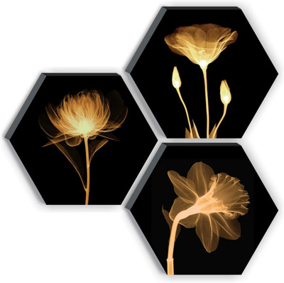 saf 6MM MDF HEXAGON FLORAL Digital Reprint 9 inch x 12 inch Painting(With Frame, Pack of 3)