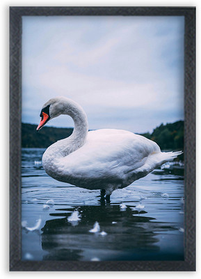 Devgifts Two Lovrly swans Painting Wall Mounted Photo Frame Digital Reprint 10 inch x 14 inch Painting(With Frame)