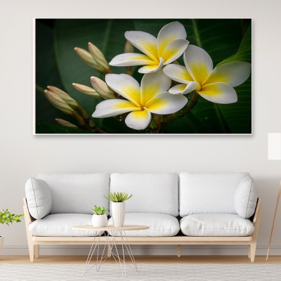 Dekorstation Yellow and White Plumeria Flower Framed Canvas Painting for Wall Décor Art Print Canvas 12 inch x 24 inch Painting(With Frame)