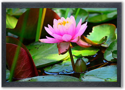 Shree Shyam Lotus Painting Photo Frame For Wall Mounted Painting (10 * 14 Inches) Digital Reprint 14 inch x 10 inch Painting(With Frame)