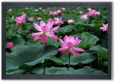 Shree Shyam Lotus Painting Photo Frame For Wall Mounted Painting (10 * 14 Inches) Digital Reprint 14 inch x 10 inch Painting(With Frame)