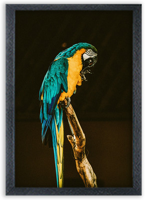 Devatwal Lovely Parrot Painting For Wall Mounted Photo Frame Digital Reprint 10 inch x 14 inch Painting(With Frame)