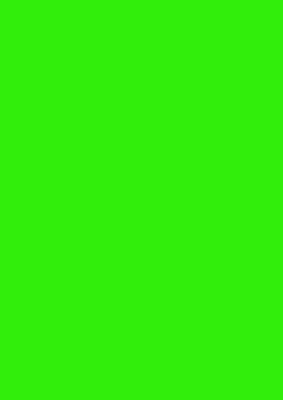 True-Ally A4 sticker label Self Adhesive Paper Label(Green)