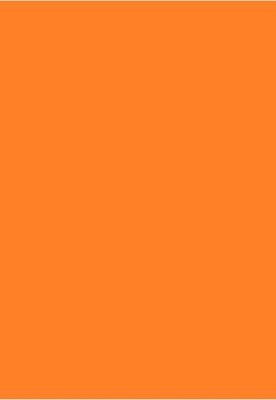 ROYAL STIC Self Adhesive Paper Label(Orange)