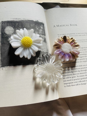 RoyalThum RTRPW11N Resin Paper Weights  with Glossy(Set Of 3, White)
