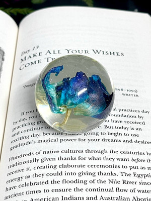 RoyalThum RTRPW13 Resin Paper Weights  with Glossy(Set Of 1, Blue)