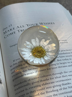 RoyalThum RRPW09N Resin Paper Weights  with Glossy(Set Of 1, White)