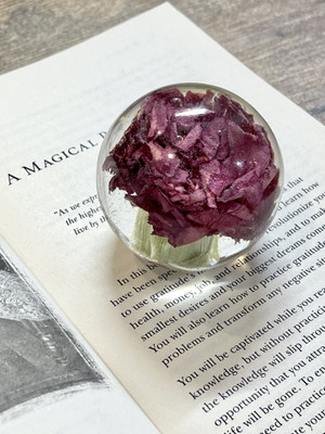 RoyalThum RRPW10N Resin Paper Weights  with Glossy(Set Of 1, Red)