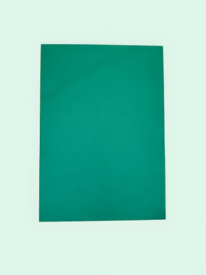 VSC 20 Unruled A4 100 gsm Coloured Paper(Set of 1, Green)