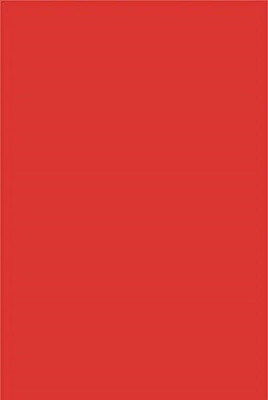 Eclet A4 RED COLOUR (20 Sheets)120 GSM Art and Craft Paper Copy Printing Papers Red A4 120 gsm Coloured Paper(Set of 20, Red)