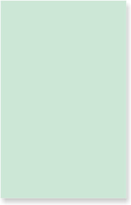 ESCAPER Pack of 100 Unruled A4 80 gsm Ledger Paper(Set of 1, Green)