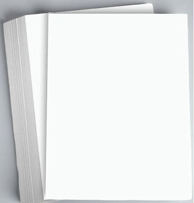 AVS Premium A4 Size White Printing Paper – 100 Sheets | Multipurpose Copier Paper Unruled A4 75 gsm A4 paper(Set of 1, White)