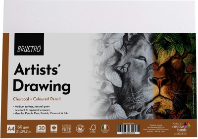 BRuSTRO Artists Pack of 30 Sheets, Unruled, A4, 160 gsm Drawing Paper(Set of 1, White)