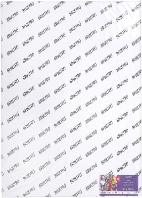 BRuSTRO Artists Mixed Media Paper - 10 Sheets, Unruled, 50 x 70 cm, 250 gsm Multipurpose Paper(Set of 1, White)