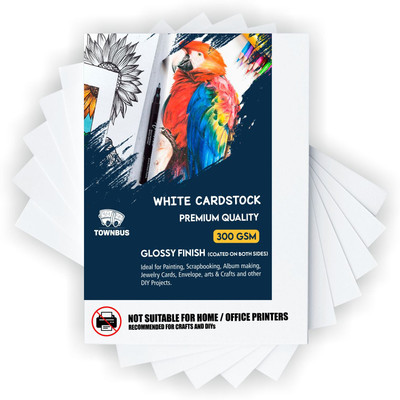 TOWNBUS Premium 25 Nos Unruled A4 300 gsm Drawing Paper(Set of 1, white Glossy)