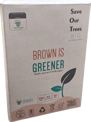 recycle green SOT UNRULED A4 95 gsm Printer Paper(Set of 1, White)