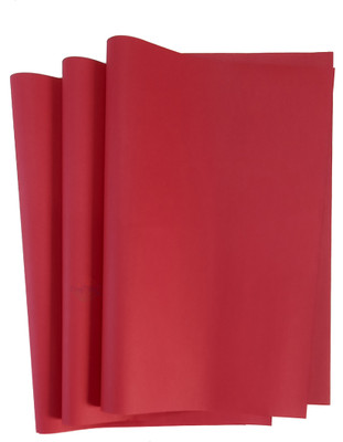 CRAFTWAFT Large Full Size Pastel Paper Sheets Bright & Soft Shades PLAIN 30X22 INCH 120 gsm Coloured Paper(Set of 10, Red)