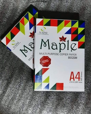 eva enterprises Printer Paper Plain A4 75 gsm Printer Paper(Set of 1, White)
