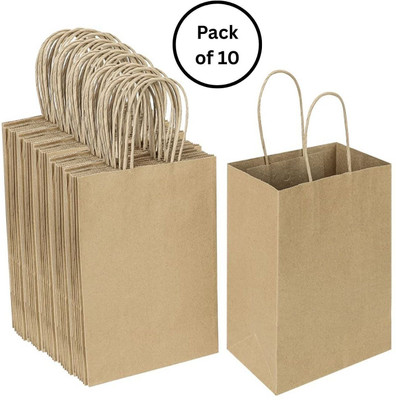 interbix nature plus pvt ltd Solid Party Bag(Brown, Pack of 10)