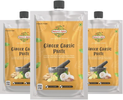 Nature's Spice Ginger Garlic Paste - 600 Grams(3 x 200 g)