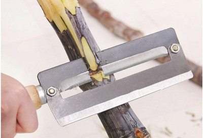 CETLO Sugarcane Peeler & Pineapple Peeling Knife Heavy-Duty Multifunctional Peeler Straight Peeler Offers & Cashback