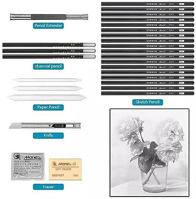 SeaRegal 001 peb Multi-function Pen(Pack of 29, Ink Color - Multicolor)