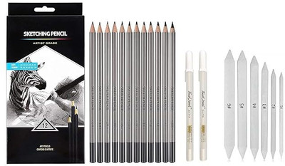 Qalam Kaari Art Sketching Degree Pencils Set of 12 with 6 Stumps and 2 White Gel Pen Pencil(Set of 12, Black)