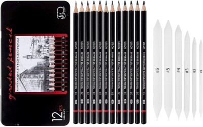 Definite Art 6Pc Blending Stumps + 12pc Sketching/Drawing Pencils, Graphite Pre-Sharpened Pencil(Black Degree Pencils - 8B, 7B, 6B, 5B, 4B, 3B, 2B, B, HB, F, H & 2H)