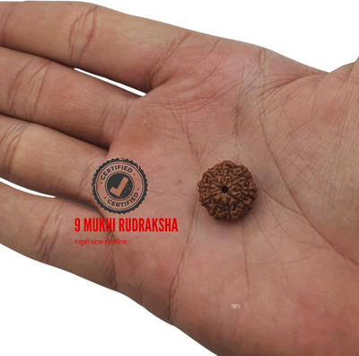 BHAKTI CHIMES 9 Mukhi Rudraksha nine-Faced Rudraksha with detailed Puja & wearing instruction Beads Wood Locket