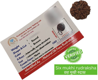 Hindustan Jewellery 6 Mukhi Rudraksha Six Faced Charr Nepali Rudraksh Bead Original & Certified Beads Wood Locket
